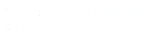 David Liebling Logo